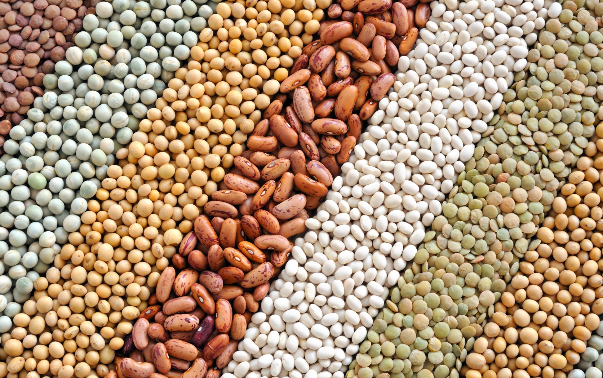 Beans | TOMRA