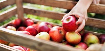 Apples in a wooden box