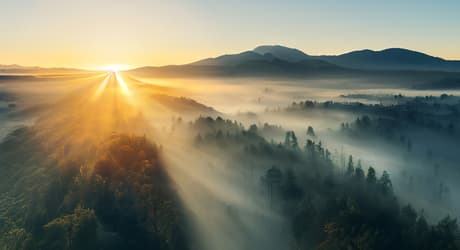 Aerial view of sunrise and misty treetops
