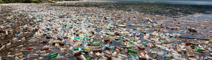Imagen de una costa llena de botellas de plástico
