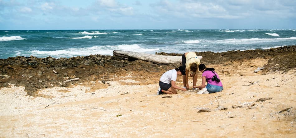 Family picking up waste on beach