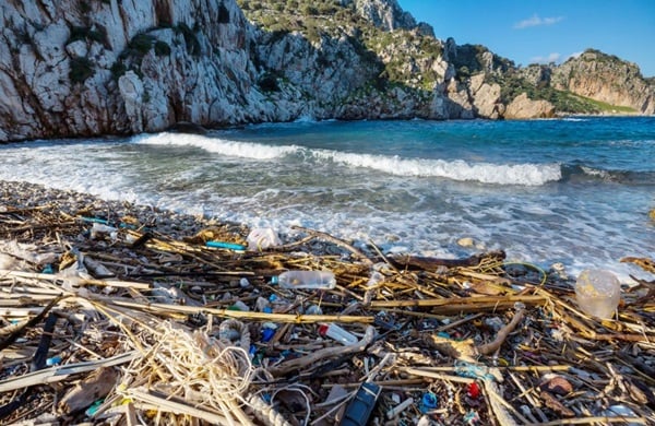 Image of plastic bottles on shore