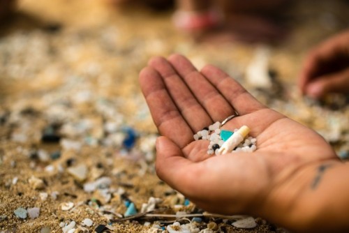 image of hand holding microplastics