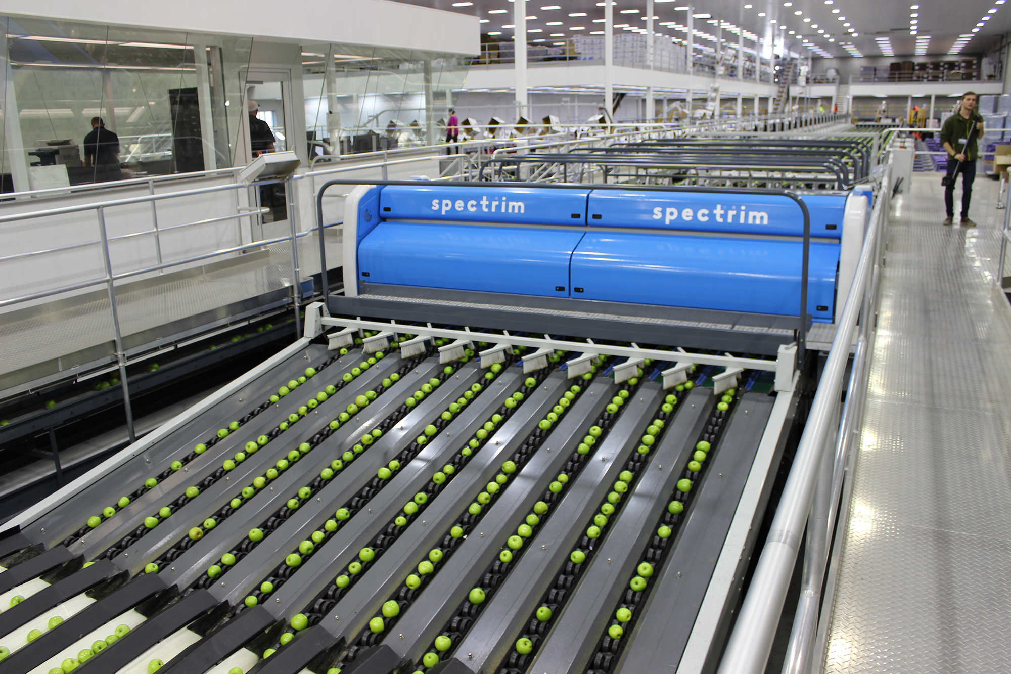 TOMRA apples sorting