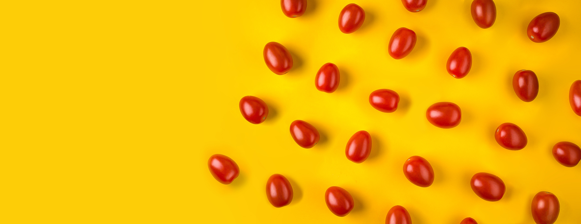 fresh tomatoes sorting