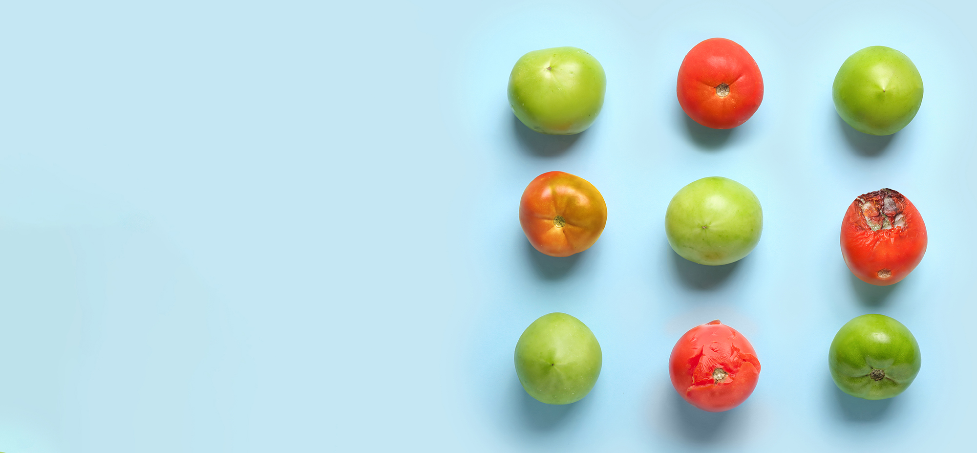 TOMRA tomatoes sorting