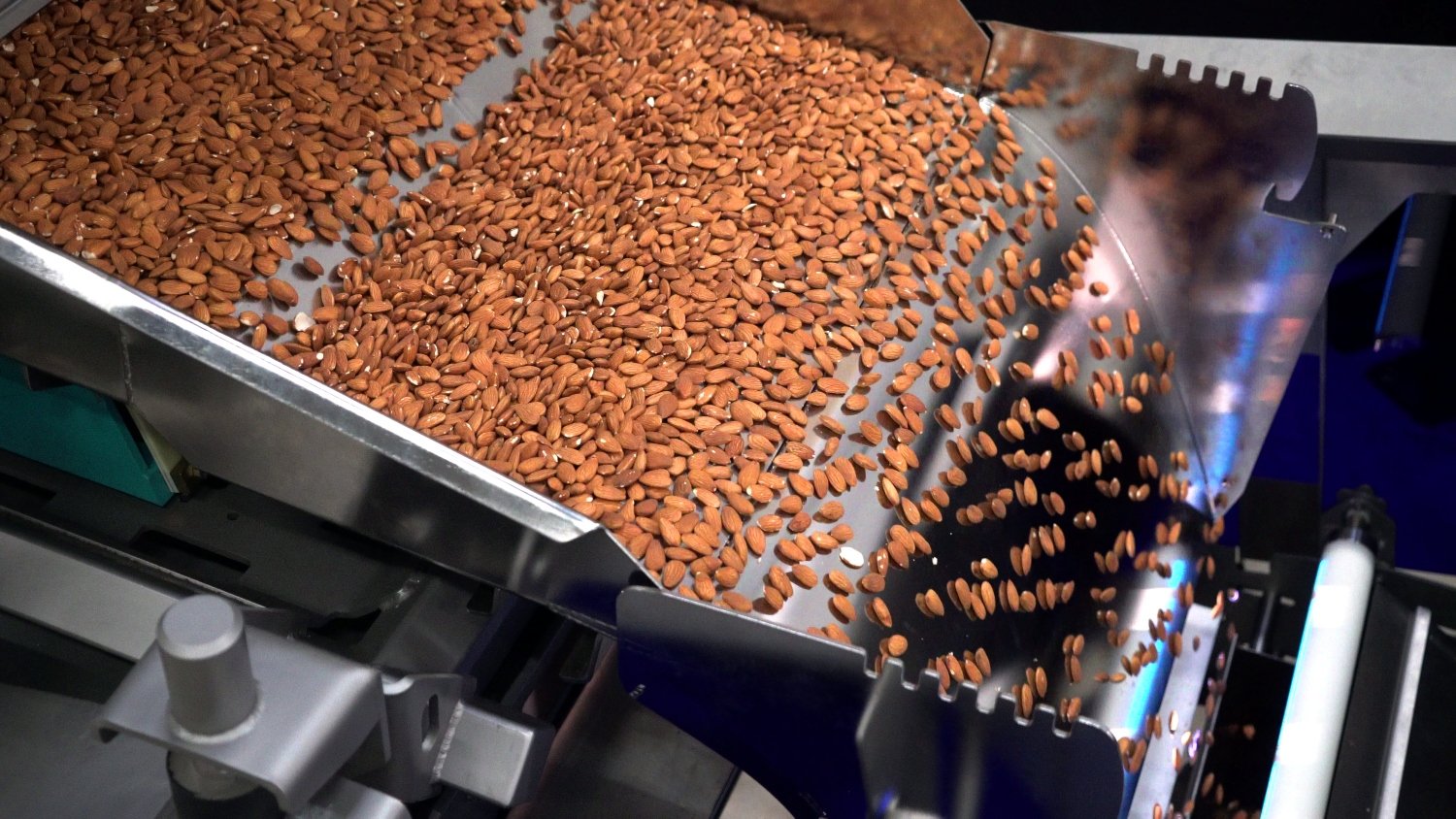 Nuts-Almonds-KB-03