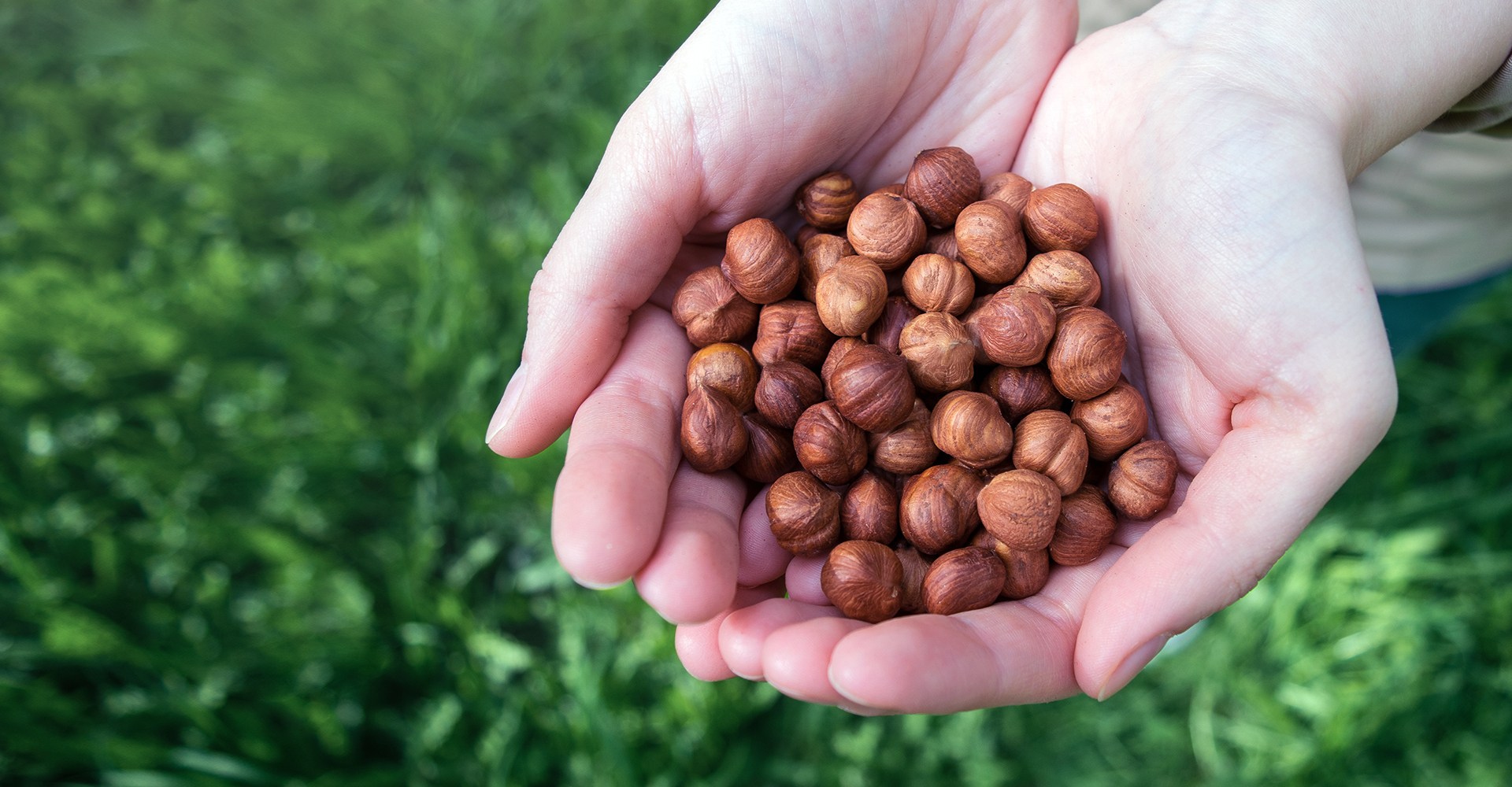 Nuts-Hazelnuts-Hero