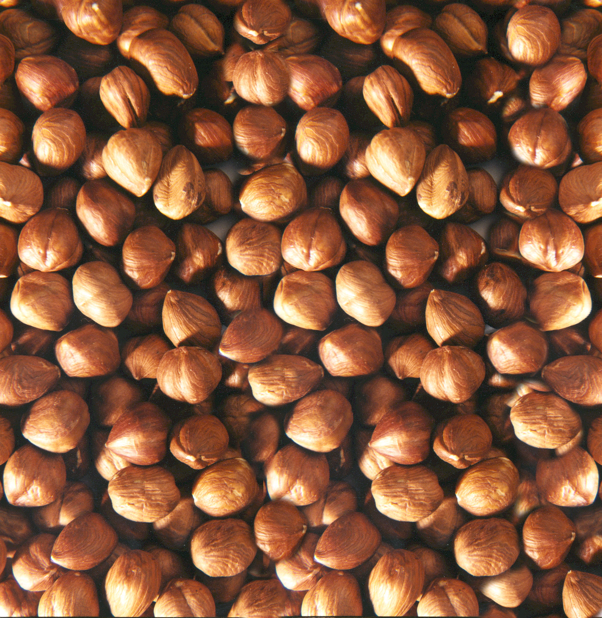 Nuts-Hazelnuts-KB-4