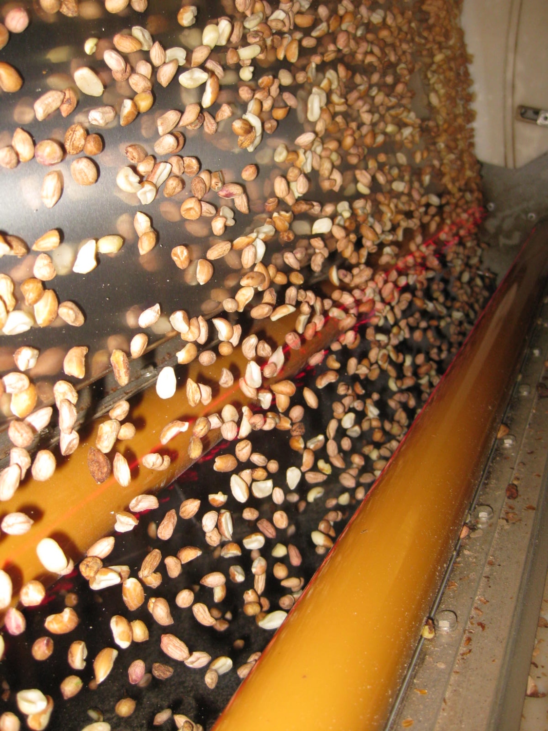 Nuts-Peanuts-KB-04