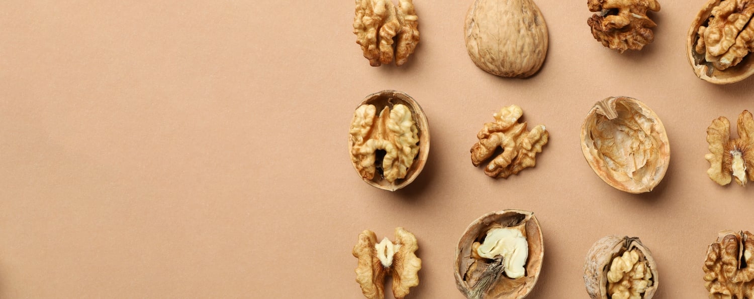 Nuts-Walnuts-Banner