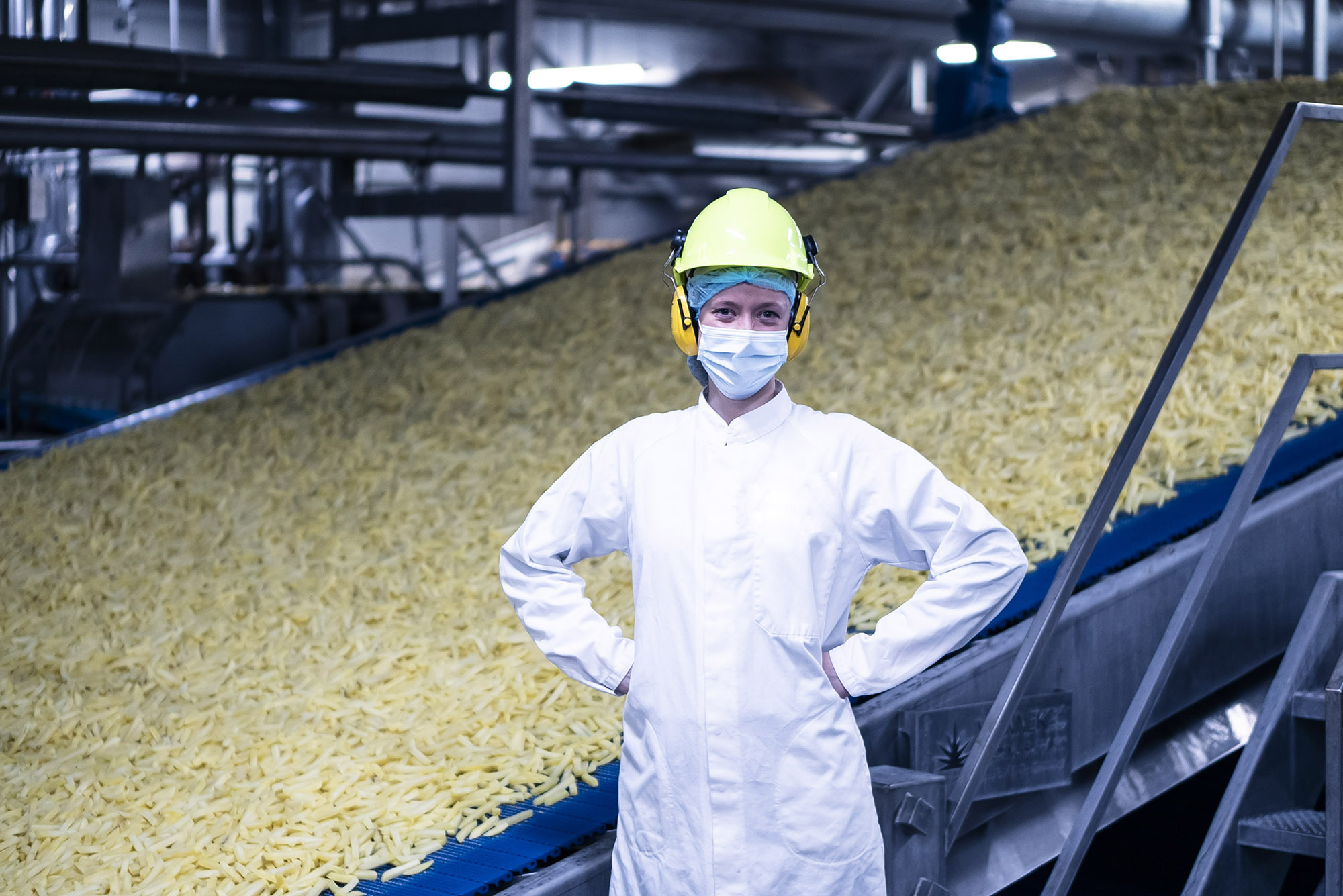 TOMRA frozen French Fries sorting