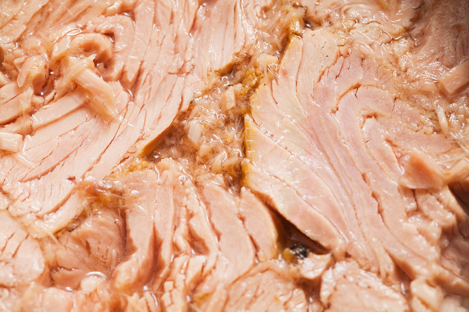 TOMRA seafood sorting