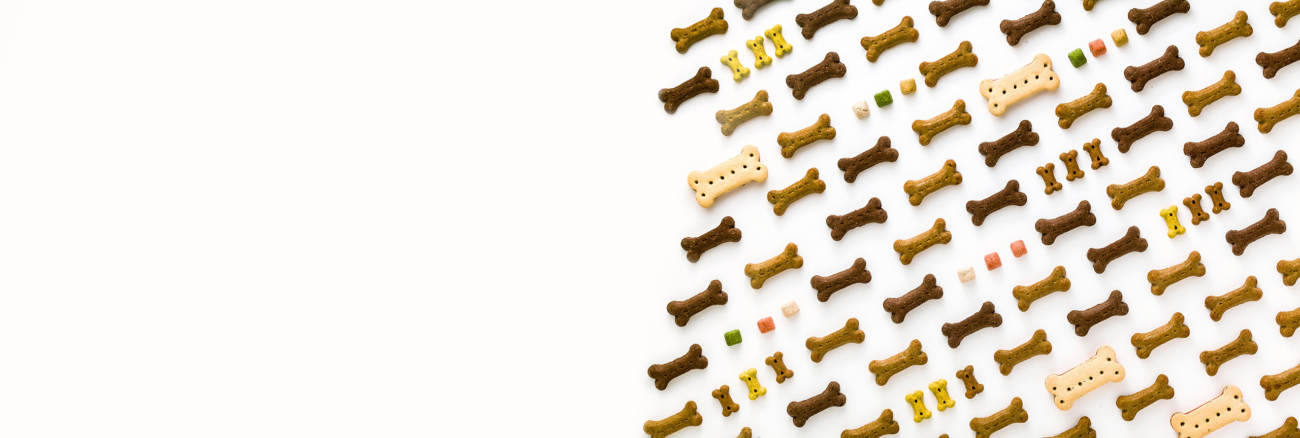 TOMRA Food kibbles sorting