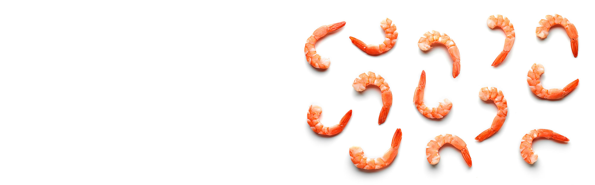 TOMRA foodシーフード