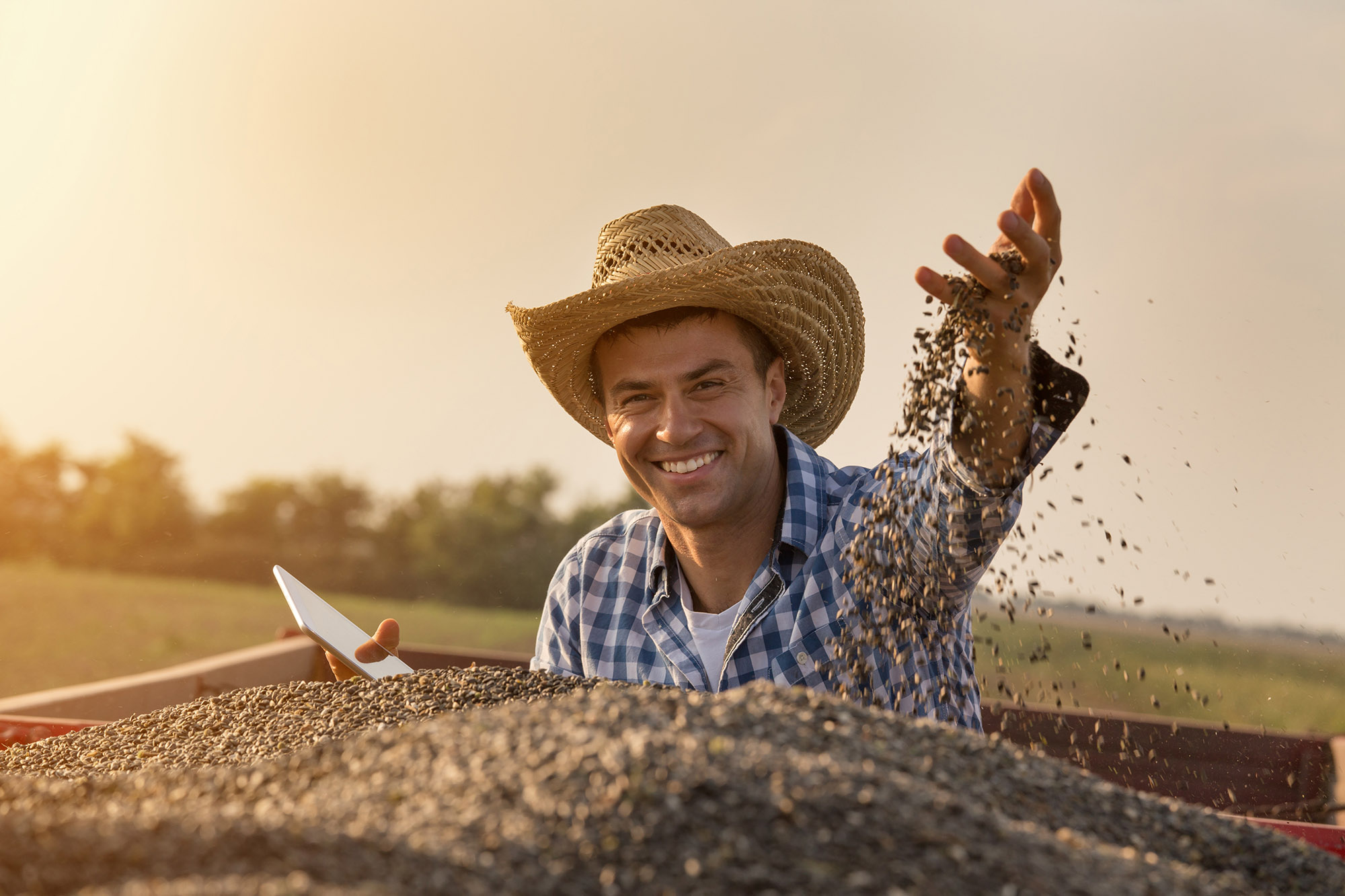 TOMRA Food grains and seeds sorting