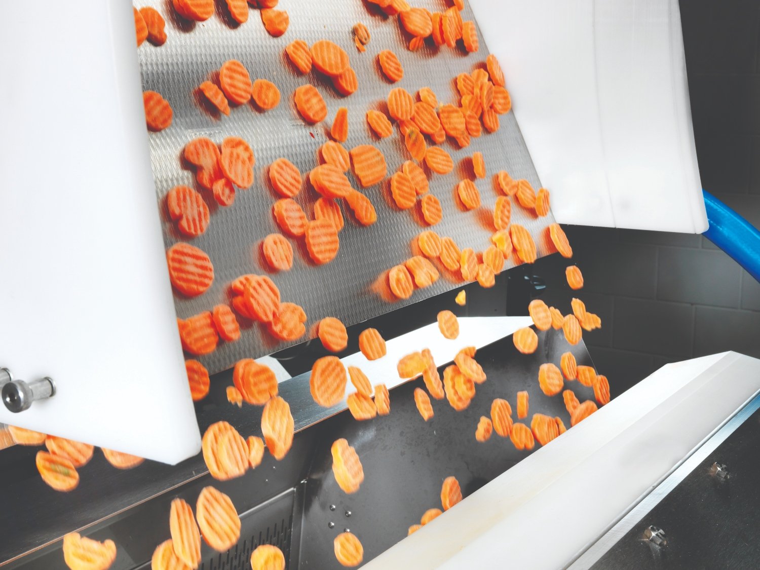 Carrots-Key_Benefits-2
