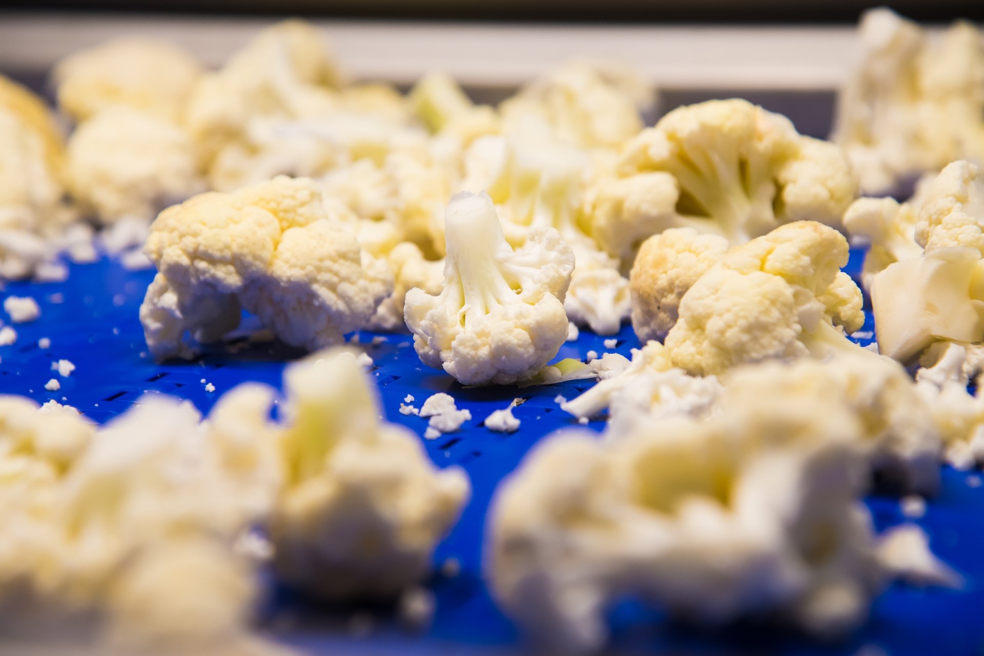 Cauliflower-KB-1