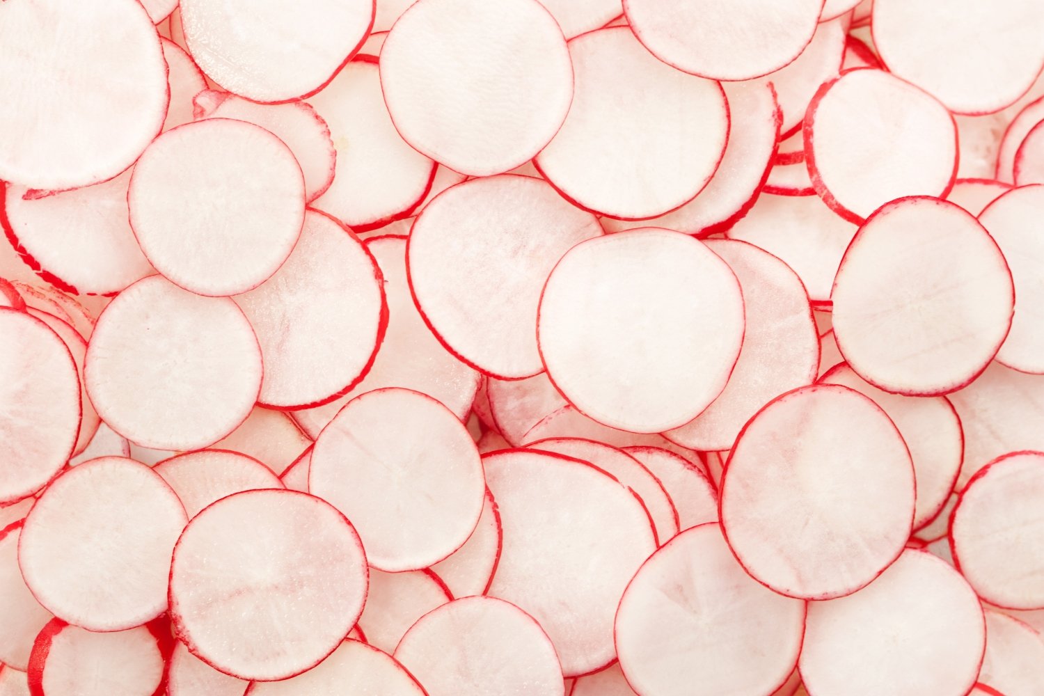Radishes-KB-3