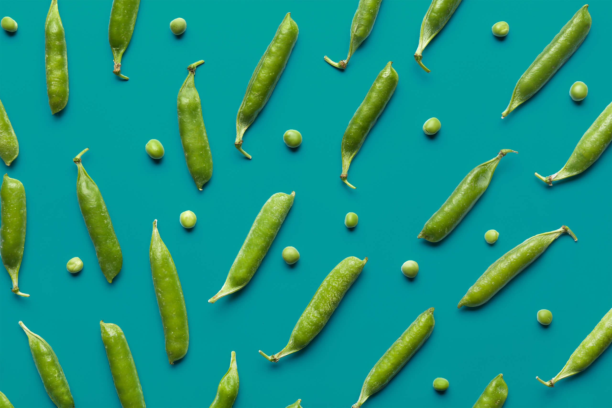 pea pods and peas against a teal background
