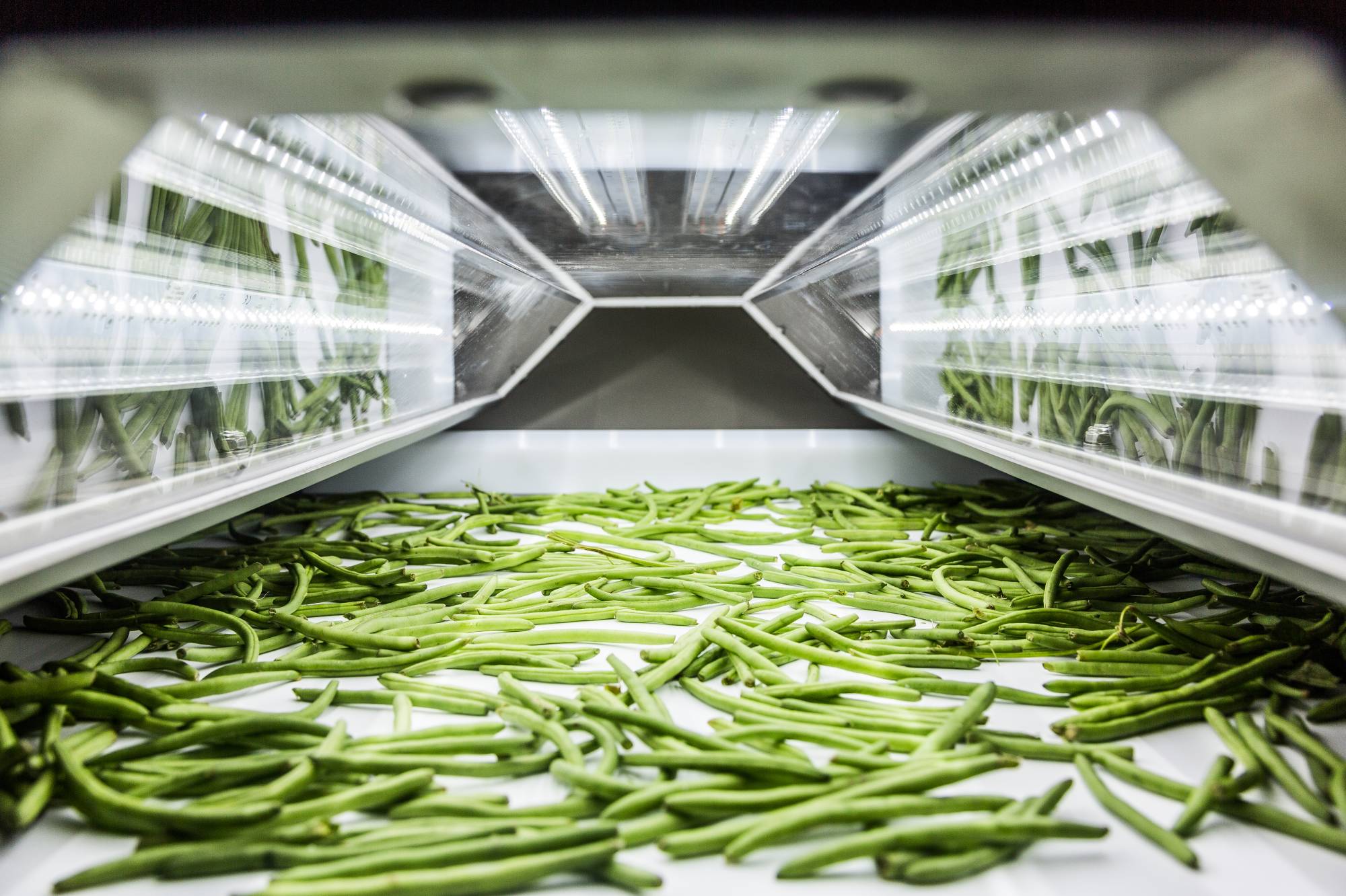 TOMRA vegetables