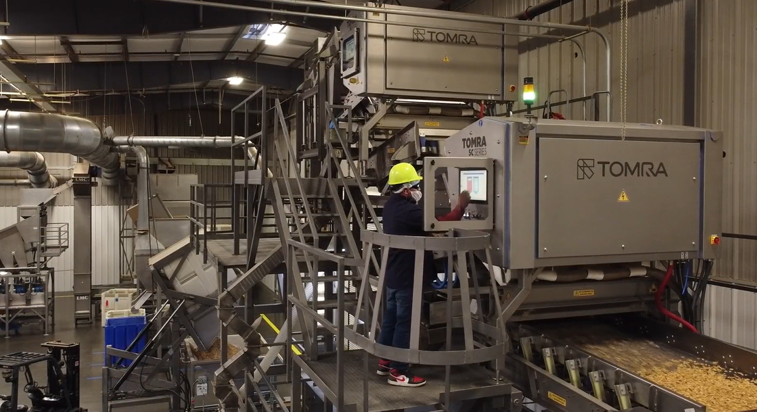 A TOMRA 5C sorting walnuts at Omega Walnut in California