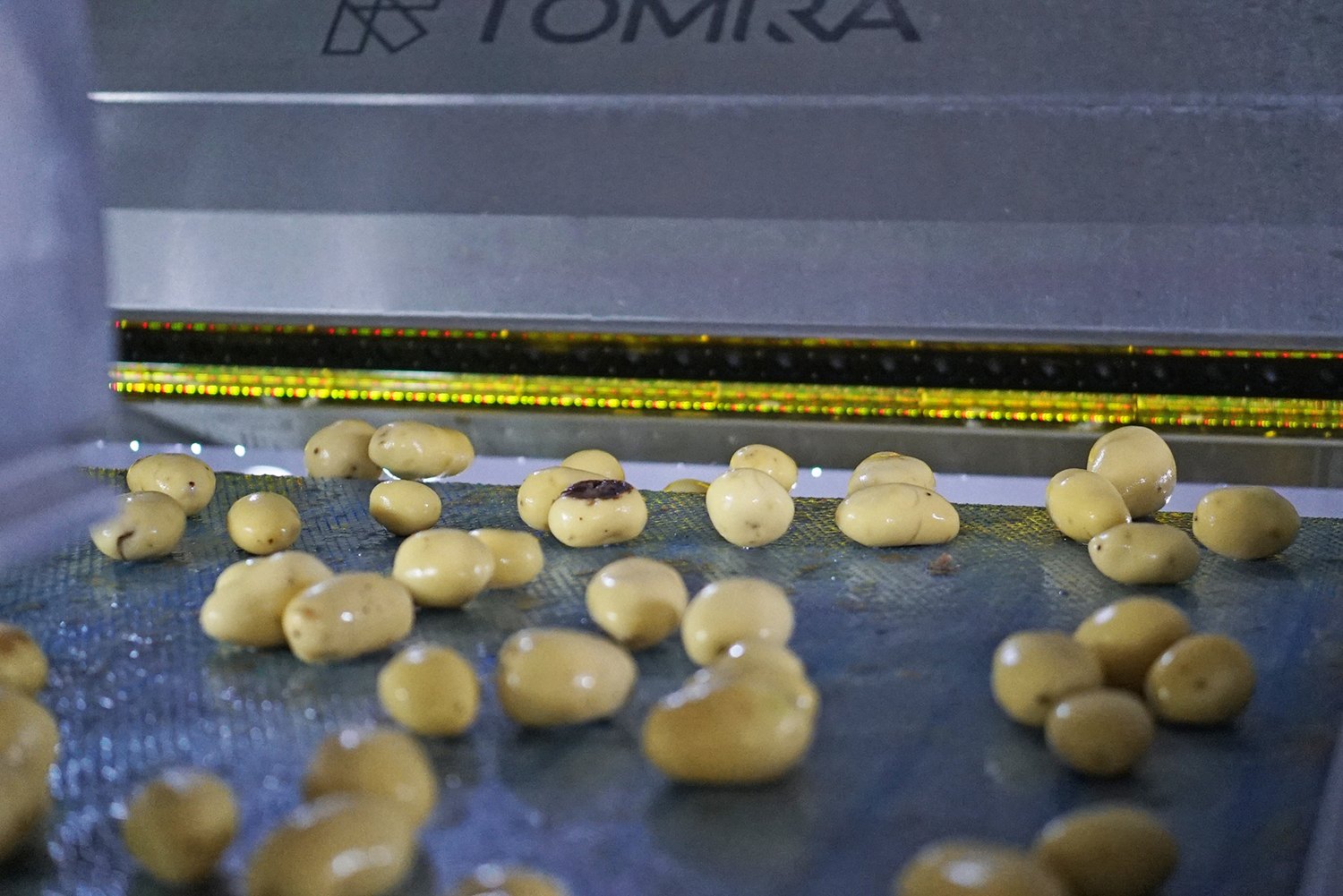 TOMRA potatoes sorting