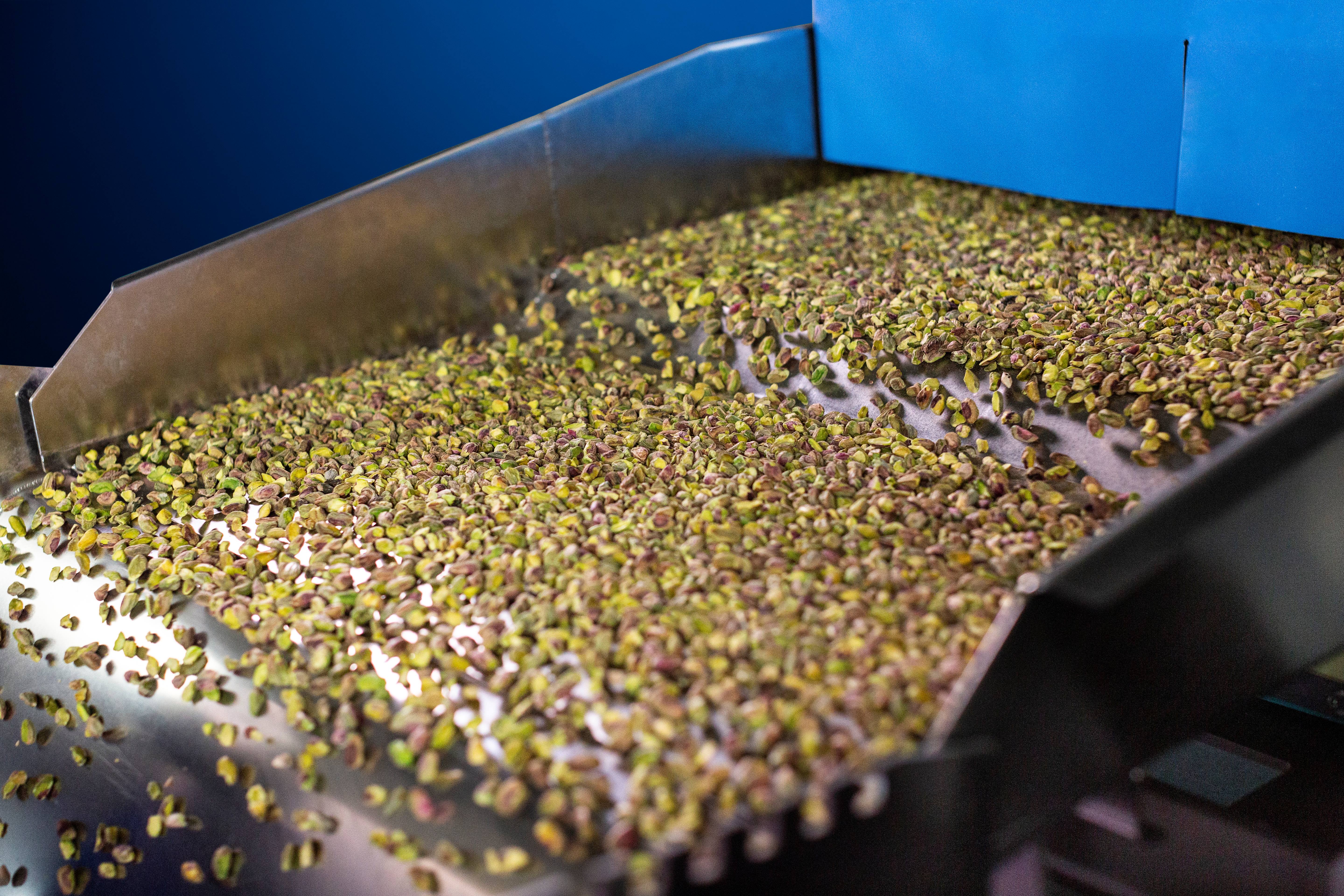 TOMRA 4C – AI-Driven Chute Sorter for Nuts & IQF | TOMRA