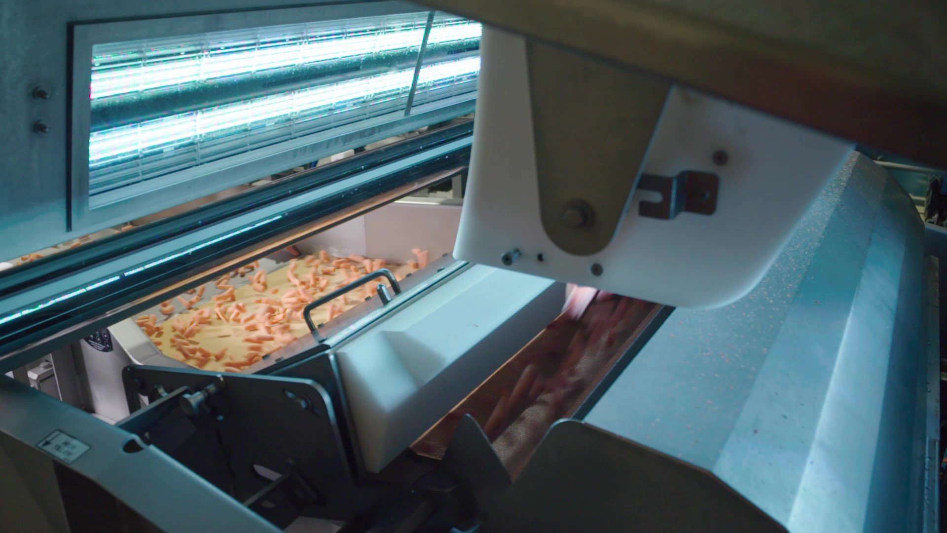 Blizzard sorting machine frozen carrot sorting