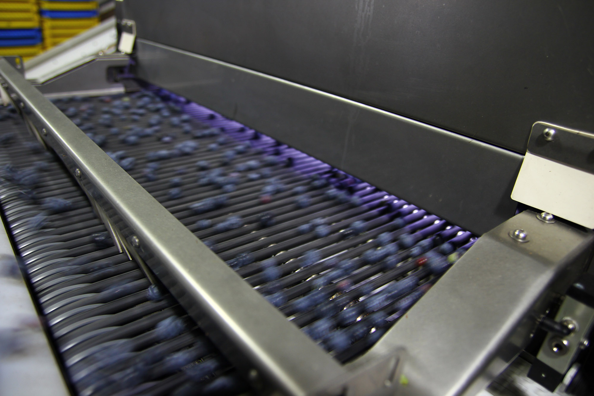 Color Sorter | TOMRA
