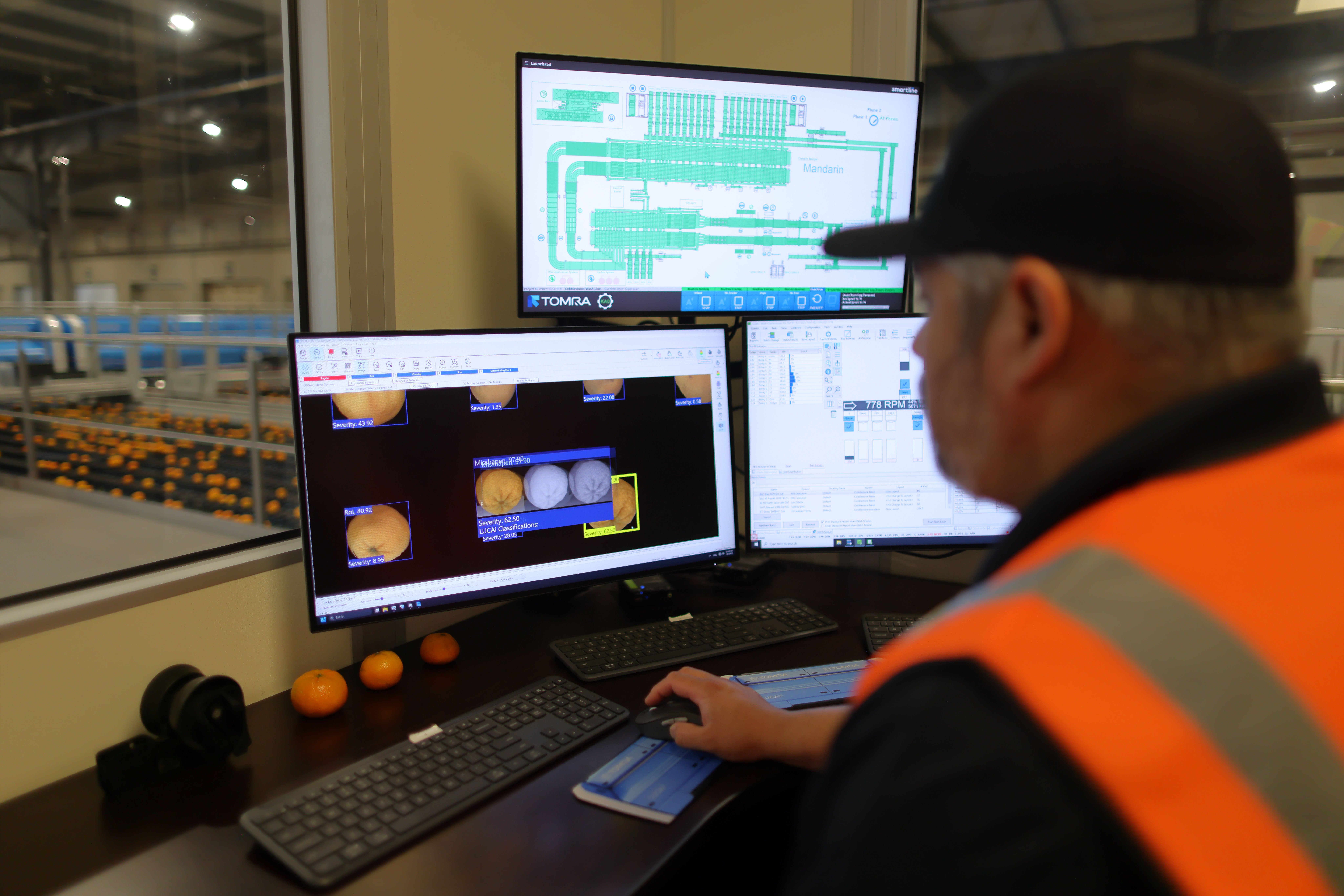A man in a high-vis vest looking at a computer monitor showing LUCAi, a deep learning tool for oranges that detects defects and assigns a unique severity rating