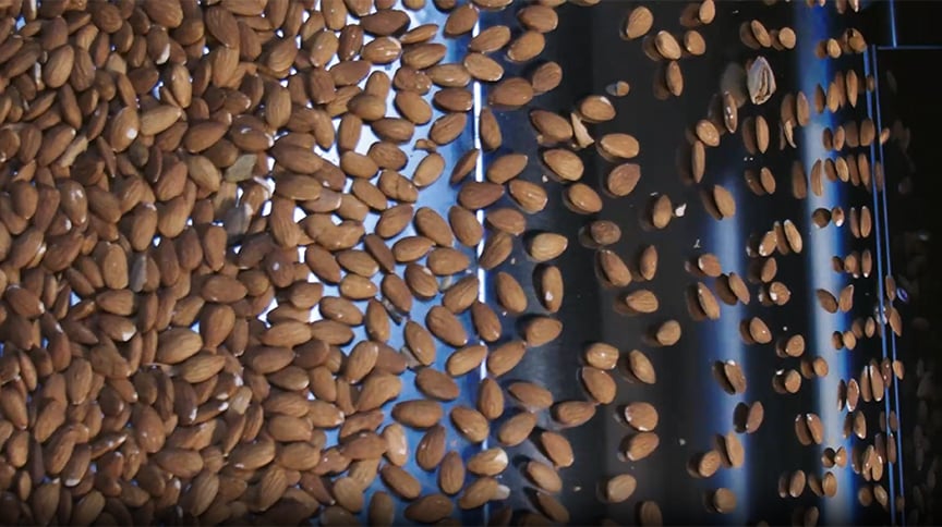 Almonds sorting in TOMRA Machine