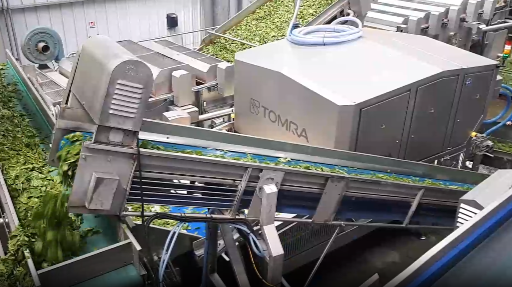 Video: TOMRA machine in action (spinach)