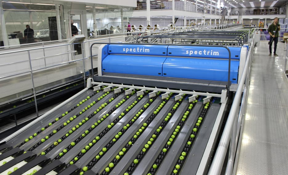 TOMRA apples sorting