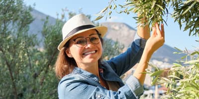 TOMRA Olives sorting
