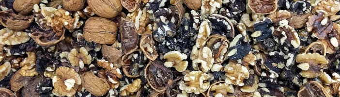 Walnut optical sorting machines – Processing walnuts | TOMRA