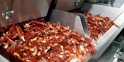 dehydrated vegetables on a sorting machine
