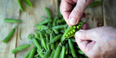 Peas-Hero