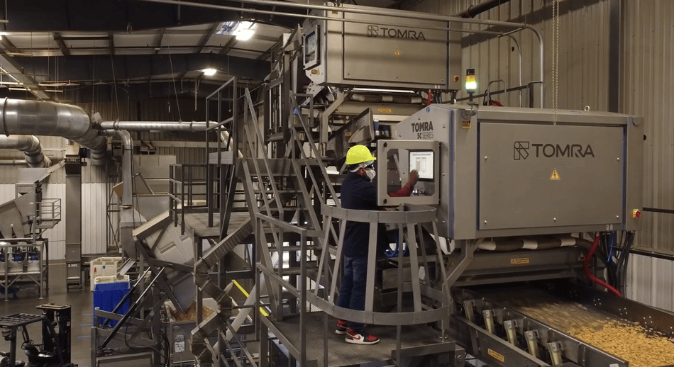 A TOMRA 5C sorting walnuts at Omega Walnut in California