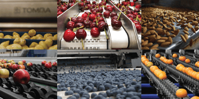TOMRA Food sorting
