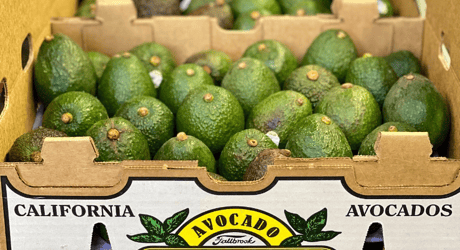 Avocado Sorting & Grading machines | TOMRA