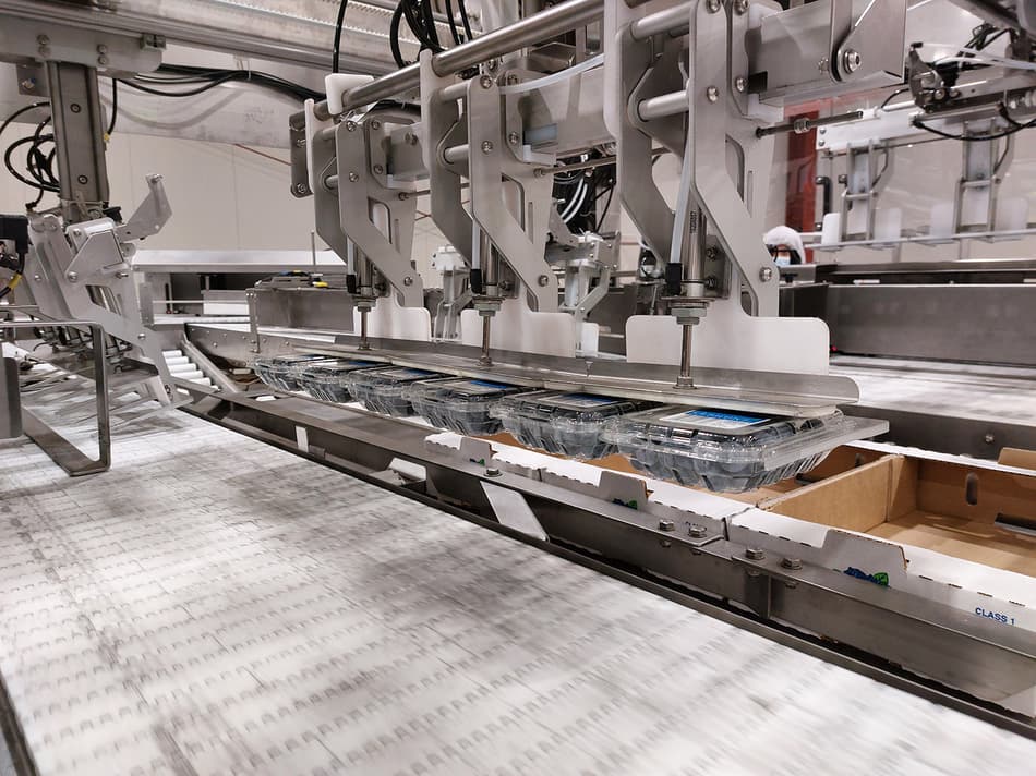 Blueberry Packhouses: Modern Grading & Packing Solutions | TOMRA