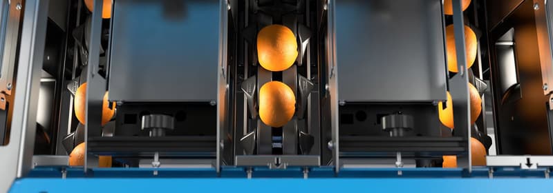 Tomra Color Inspectra²: Non-Destructive Internal Food Inspection | TOMRA