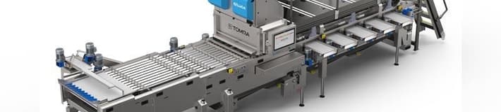 A render of the front of a KATO260 blueberry grading machine