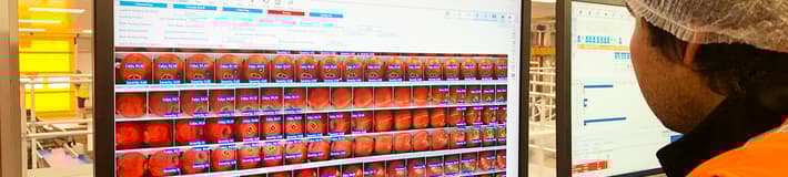 User looking at a monitor with LUCAi for apples running