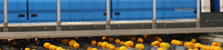 Spectrim cabinet with oranges on the line