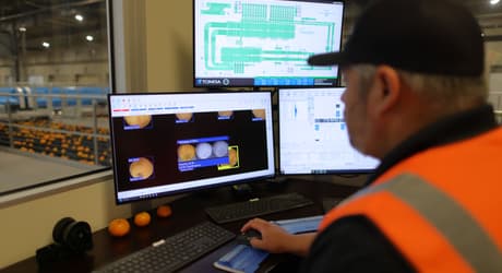 A man in a high-vis vest looking at a computer monitor showing LUCAi, a deep learning tool for oranges that detects defects and assigns a unique severity rating