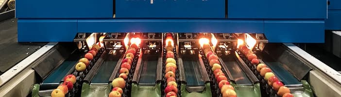 5s Sorting Rack Jigs TOMRA 5S Advanced fruit sorting platform | TOMRA