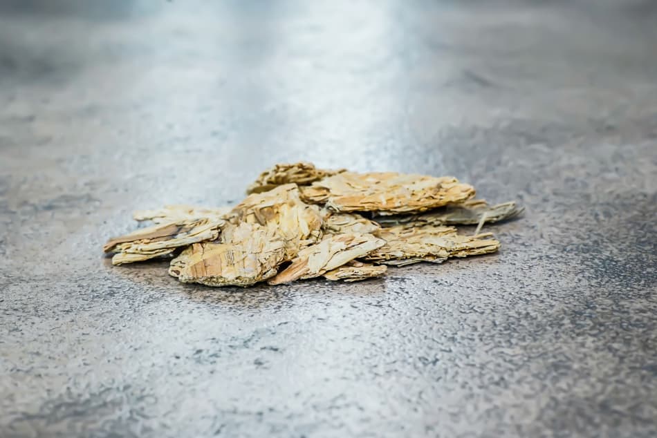 Extending the lifecycle of wood – from forest to products | TOMRA