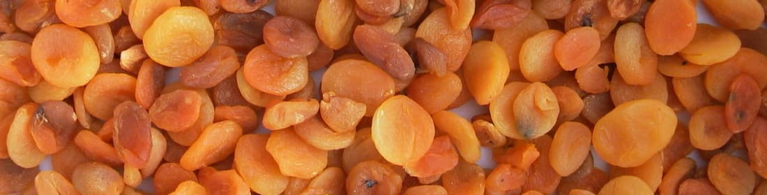Apricots defect 1